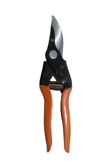 Prunning secateur